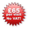 65 per visit No VAT!